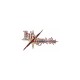 Fate / Unlimited Codes 