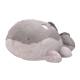 Pokemon Plush